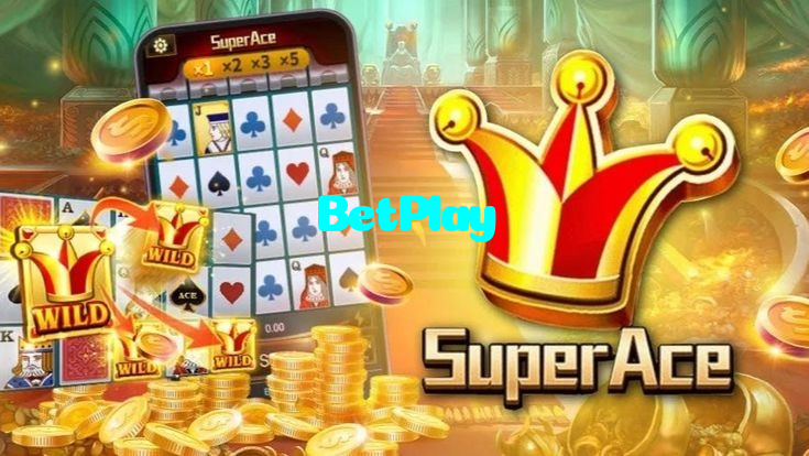 سیالکوٹ میں کریش پرو کلائیمب میں بیٹنگ اور محفوظ تیز اوڈز